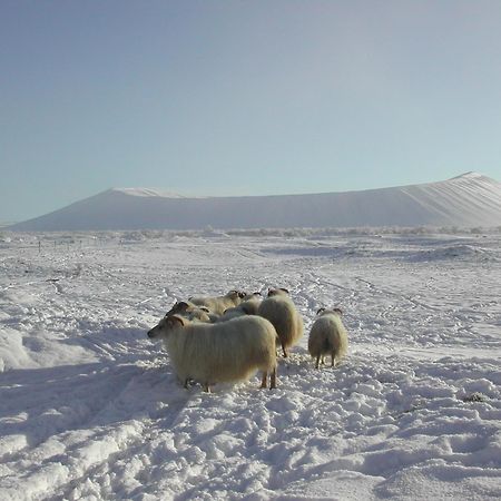 Vogafjós Farm Resort Myvatn Kültér fotó